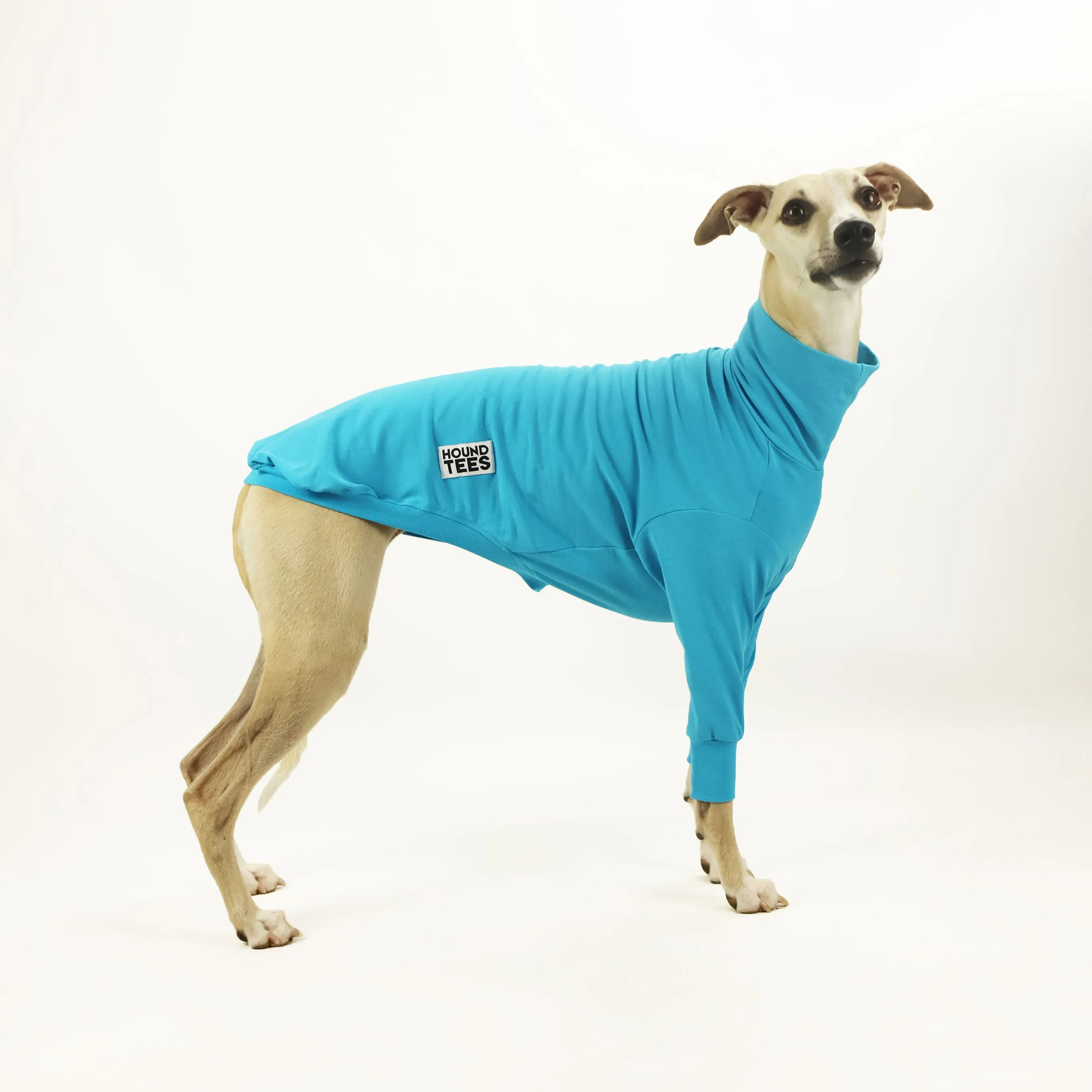 Bluey Whippet Long Sleeve Base Layer