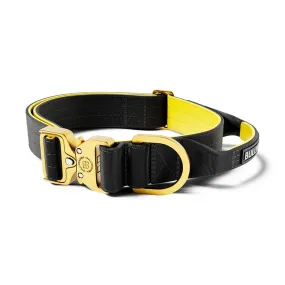 BullyBillows 4cm LIGHTER Combat Collar - With Handle Rated Clip