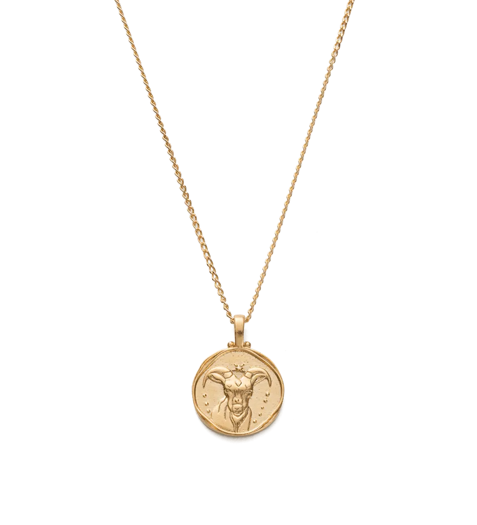 Kirstin Ash Capricorn Zodiac Necklace