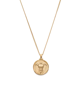 Kirstin Ash Capricorn Zodiac Necklace