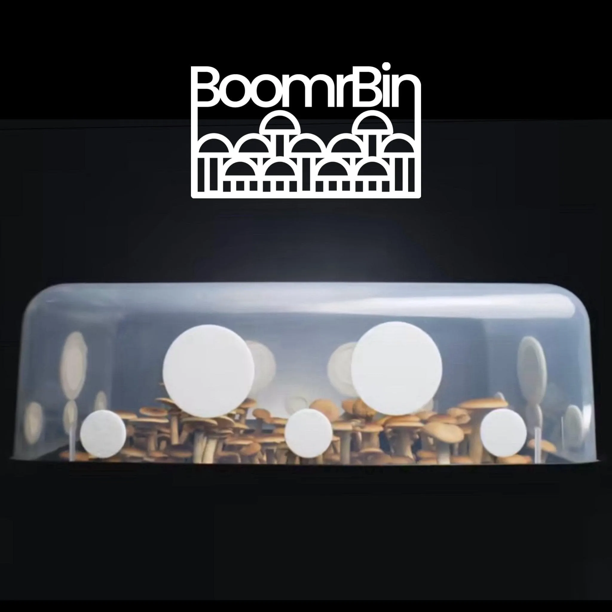 Wholesale | Boomr Bin Mushroom Monotub Kit